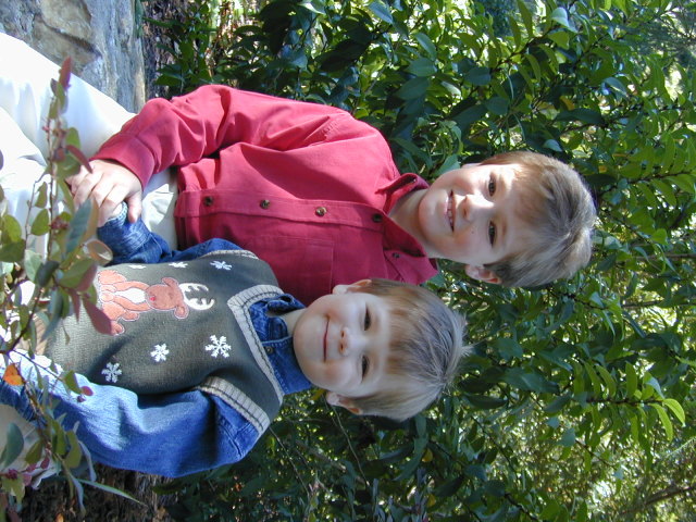 November009.jpg
