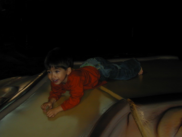 December029.jpg
