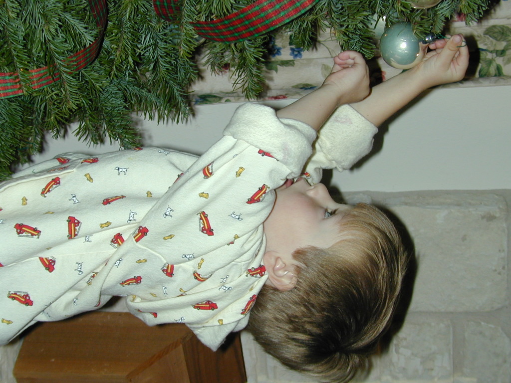 2005/12(December)/Christmas_Decorating/1024x768_November062.jpg