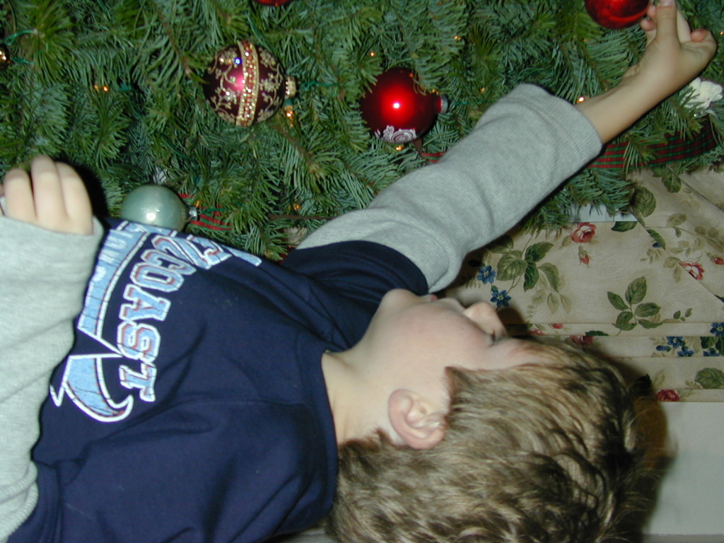 November063.jpg