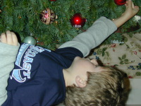 November063.jpg