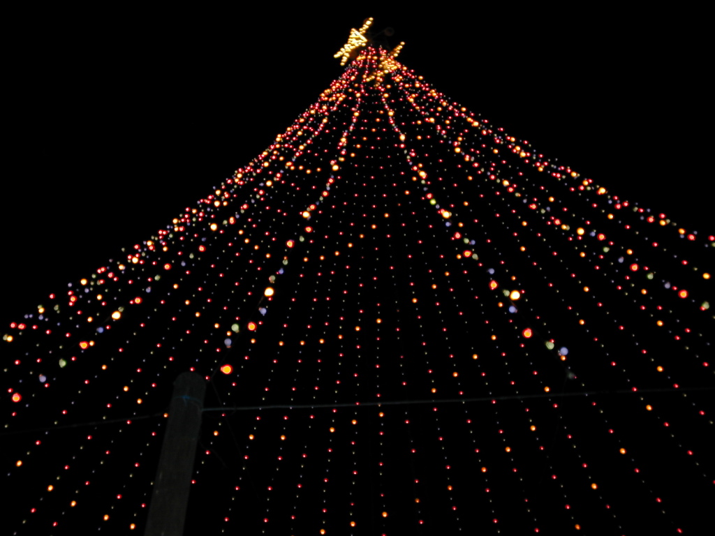 2005/12(December)/Trail_of_Lights_and_Christmas/1024x768_December003.jpg