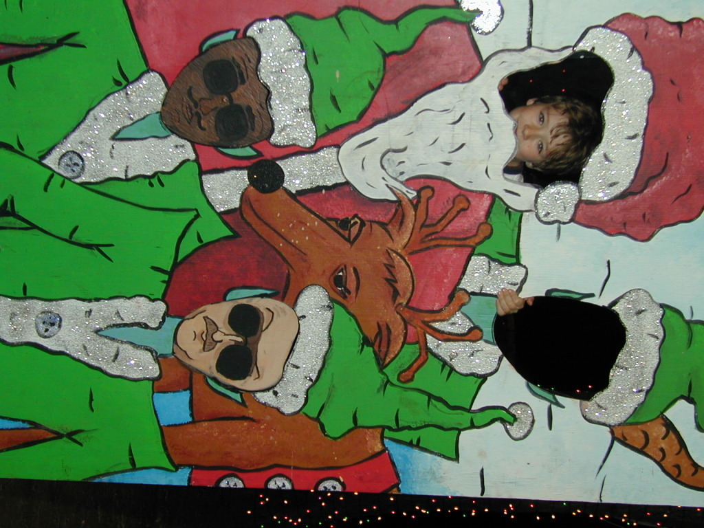 2005/12(December)/Trail_of_Lights_and_Christmas/1024x768_December005.jpg