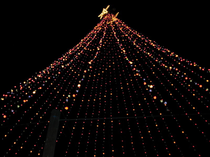 2005/12(December)/Trail_of_Lights_and_Christmas/800x600_December003.jpg