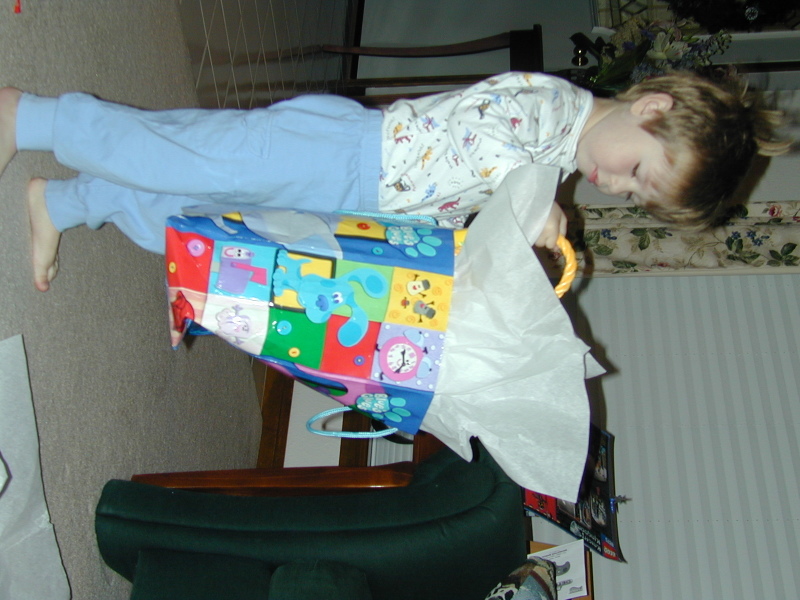 2005/12(December)/Trail_of_Lights_and_Christmas/800x600_December010.jpg