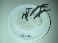 JanFeb007.jpg