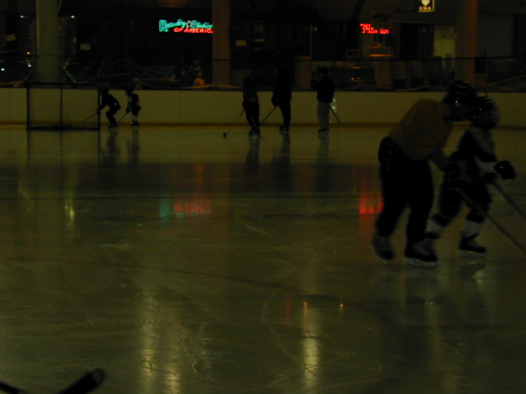 2006/02(February)/Blue_and_Gold/1024x768_DSCN0008.JPG
