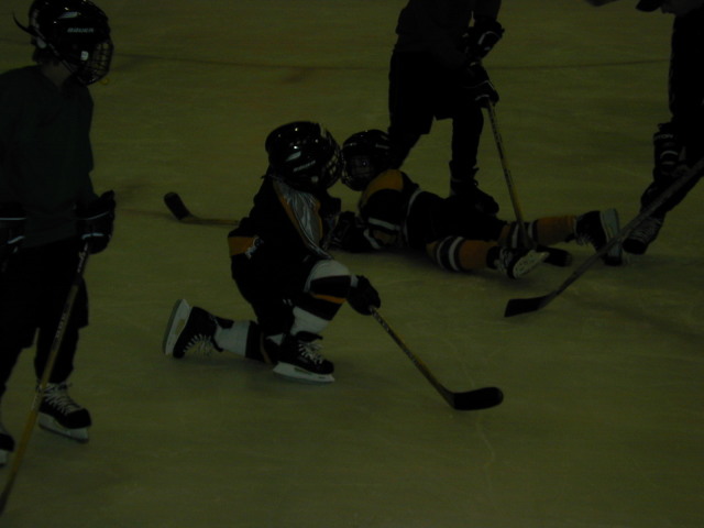 2006/02(February)/Hockey/640x480_DSCN0011.JPG