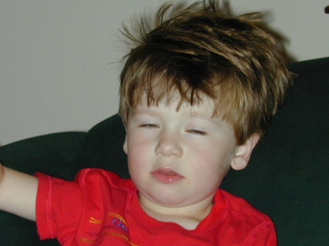 DSCN0029.JPG