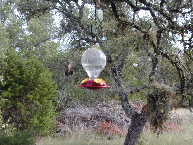 DSCN0005.JPG