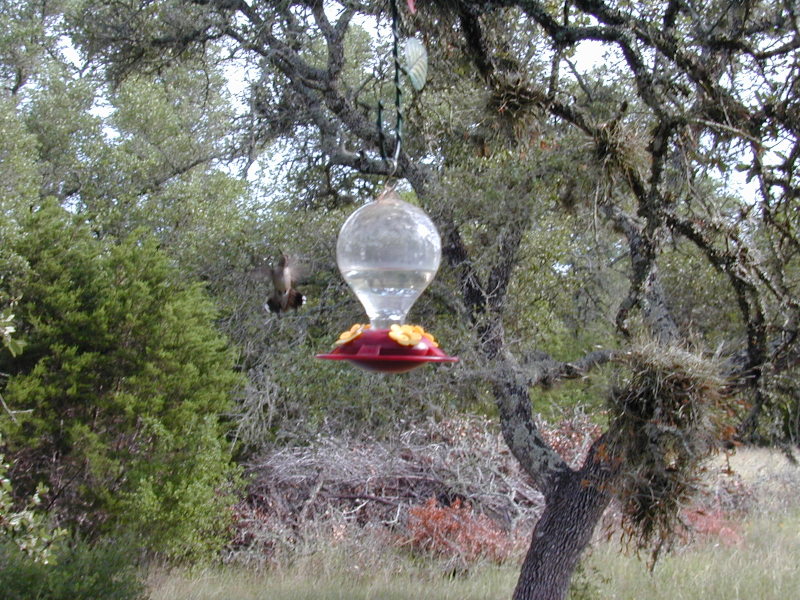 DSCN0005.JPG
