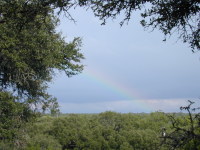 DSCN0003.JPG
