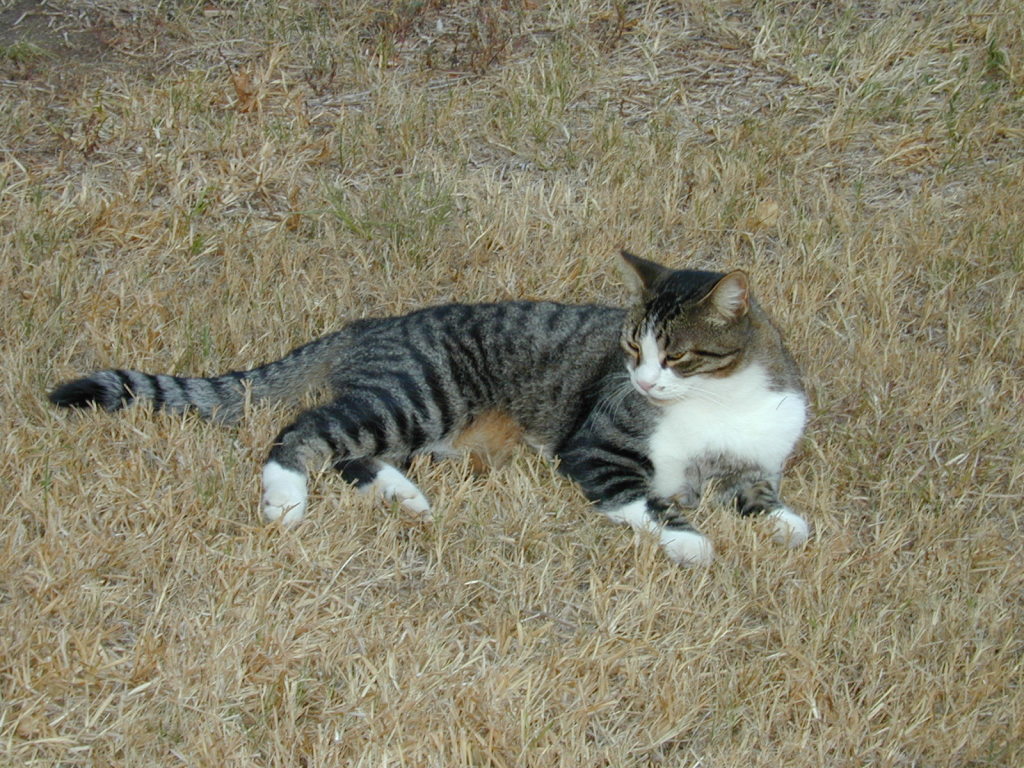 DSCN0472.JPG