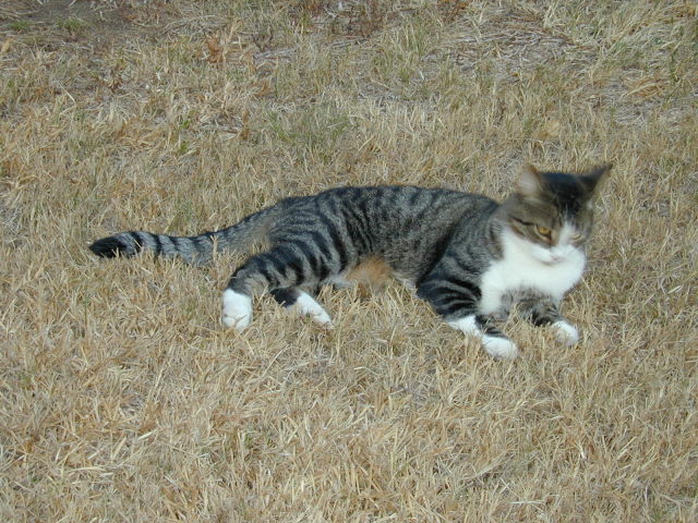 DSCN0473.JPG