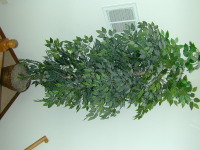 DSCN0027.JPG