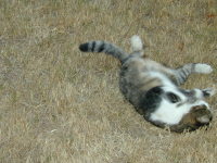 DSCN0476.JPG