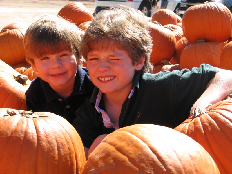 2006/10(October)/Misc/800x600_IMG_0088_1.JPG