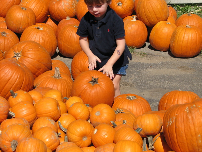 2006/10(October)/Misc/800x600_IMG_0093.JPG