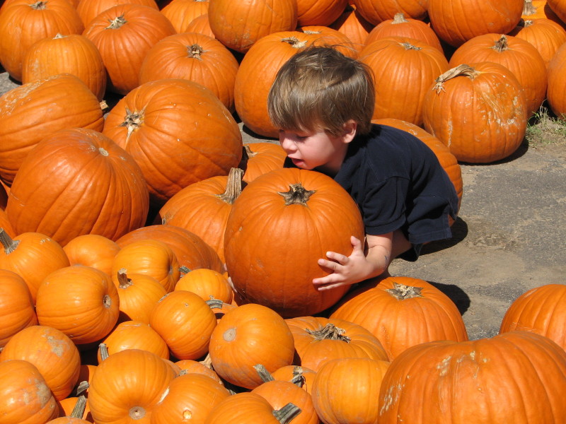 2006/10(October)/Misc/800x600_IMG_0094.JPG