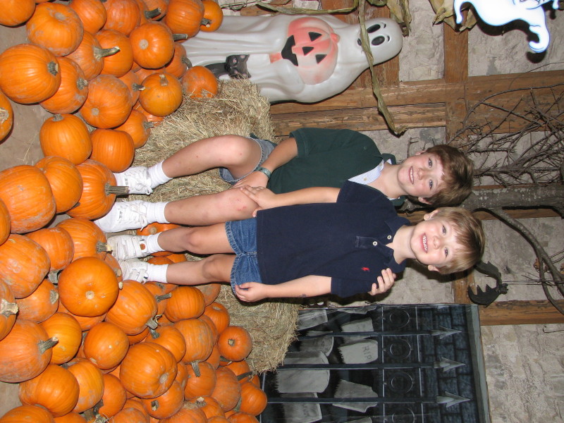 2006/10(October)/Misc/800x600_IMG_0098_1.JPG