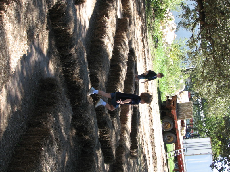 2006/10(October)/Misc/800x600_IMG_0106_1.JPG
