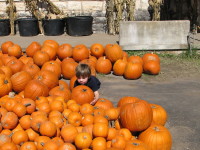 IMG_0092_1.JPG