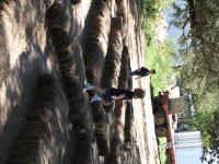 IMG_0106_1.JPG
