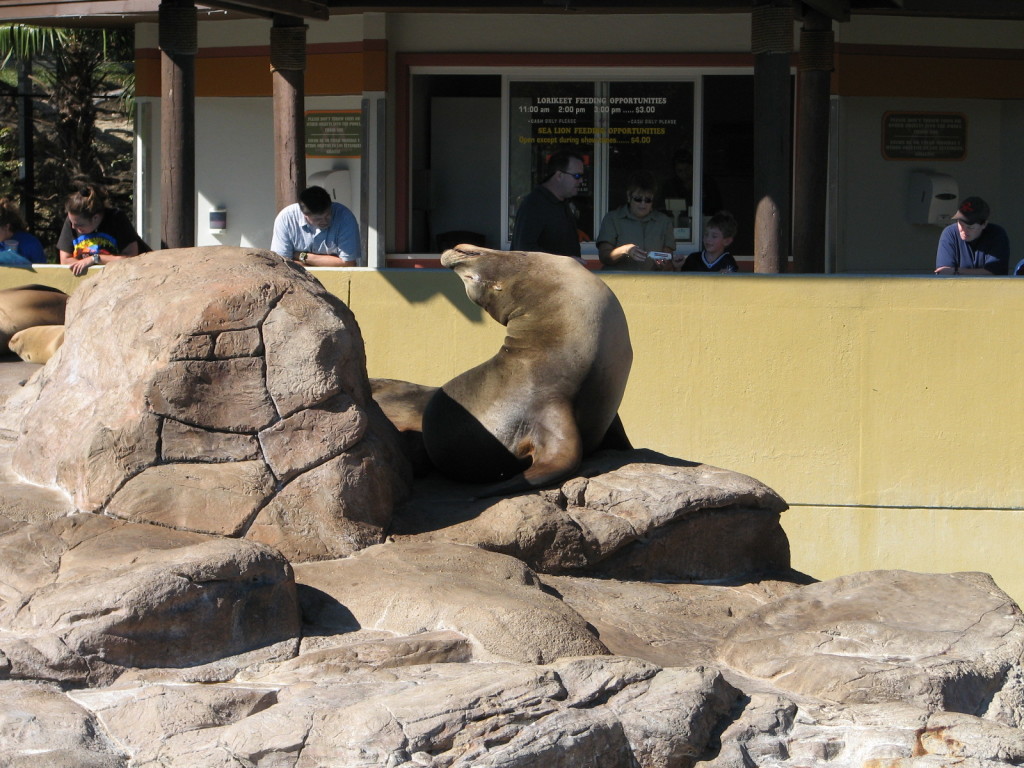 2006/11(November)/Sea_World/1024x768_IMG_0171.JPG