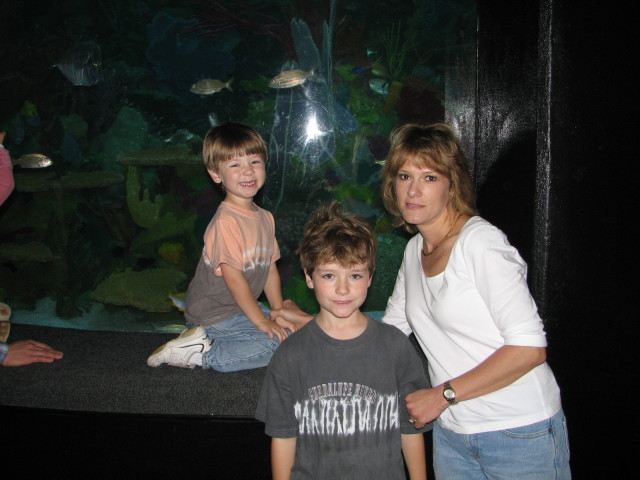 2006/11(November)/Sea_World/640x480_IMG_0149.JPG
