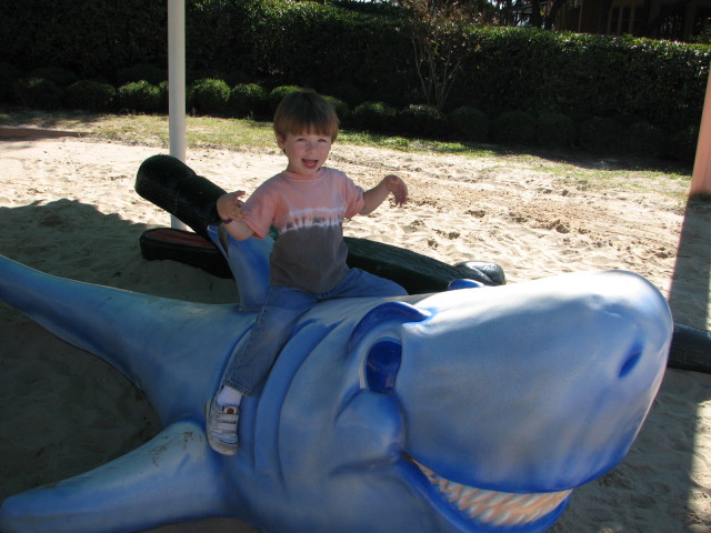 2006/11(November)/Sea_World/640x480_IMG_0161.JPG