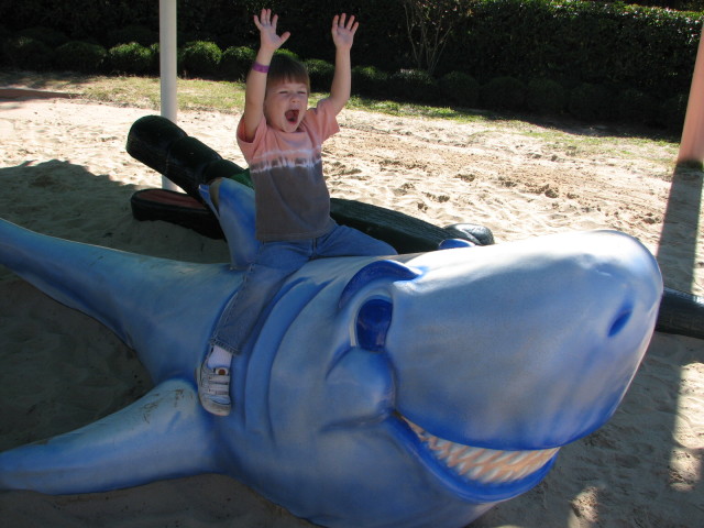 2006/11(November)/Sea_World/640x480_IMG_0162.JPG