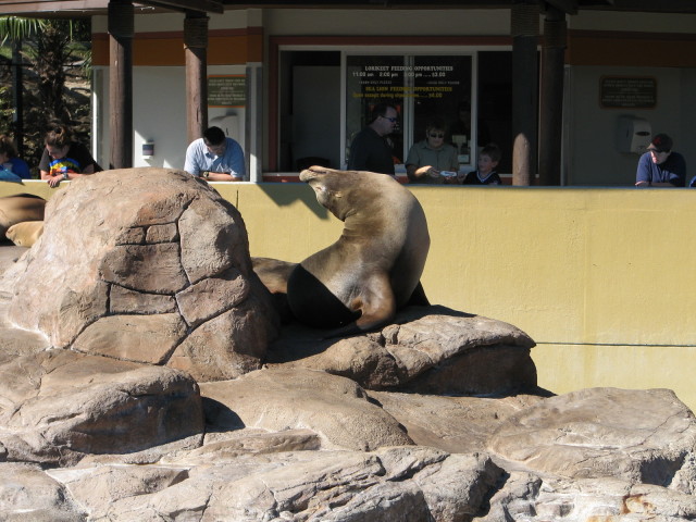 2006/11(November)/Sea_World/640x480_IMG_0171.JPG