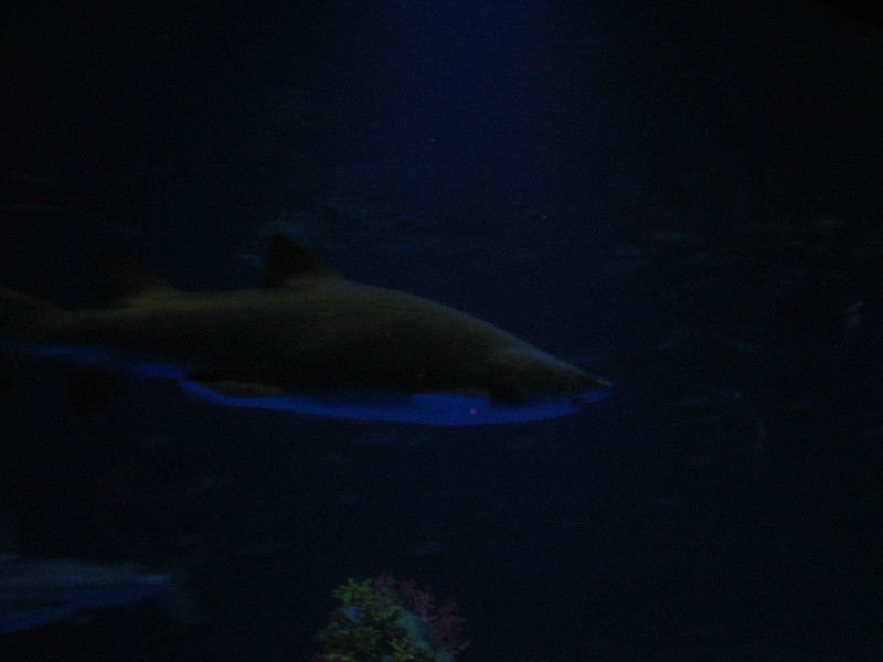 IMG_0144.JPG