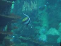 IMG_0137.JPG