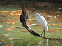 IMG_0165.JPG