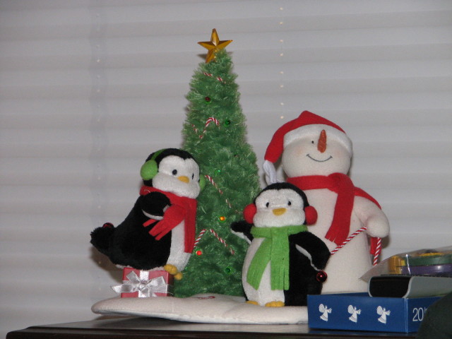 2006/12(December)/Christmas/640x480_IMG_0336.JPG