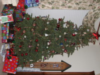 IMG_0358.JPG
