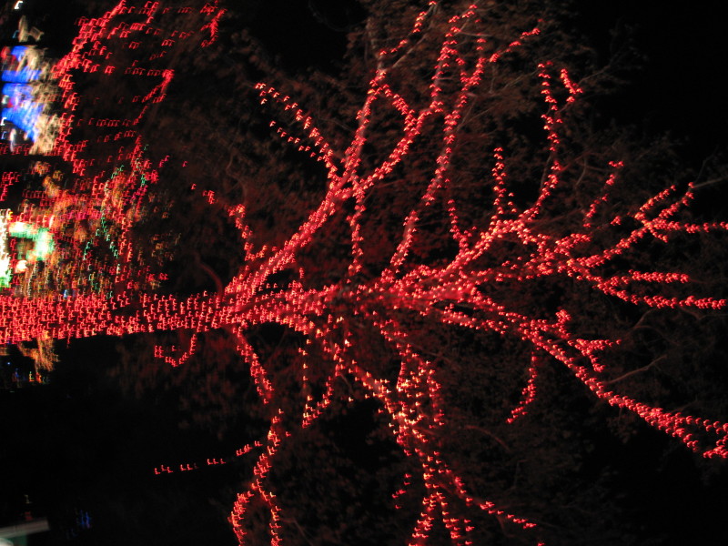 2006/12(December)/Trail_of_Lights/800x600_IMG_0436.JPG