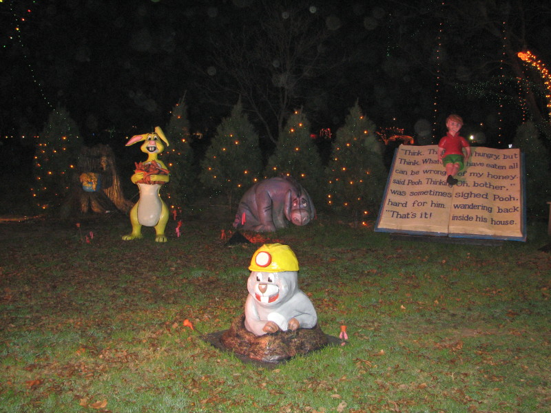 2006/12(December)/Trail_of_Lights/800x600_IMG_0461.JPG
