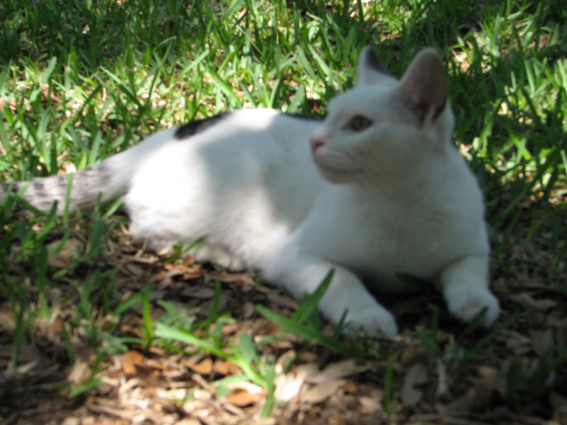 2007/05(May)/Misc/800x600_IMG_0785.JPG