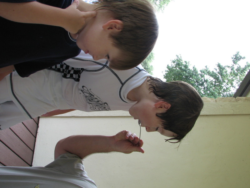 IMG_0913.JPG