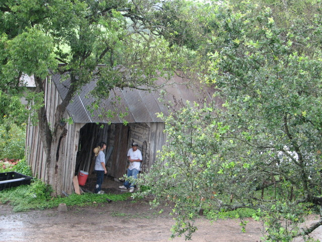 IMG_0938.JPG