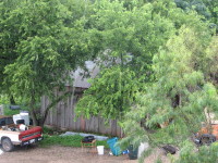 IMG_0937.JPG