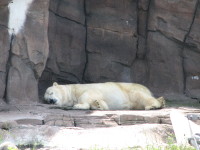 IMG_1002.JPG