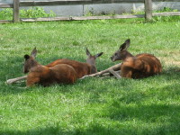 IMG_1006.JPG