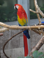 IMG_1014.JPG