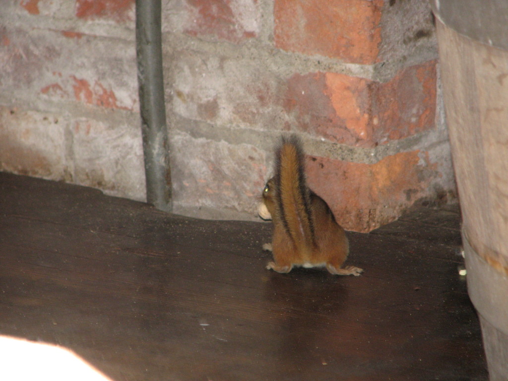 IMG_1063.JPG