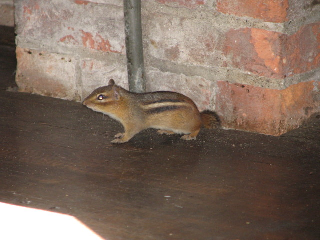 IMG_1065.JPG