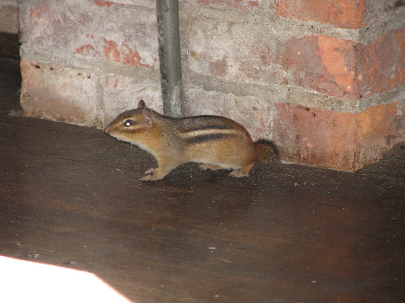 IMG_1065.JPG