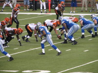 IMG_1000.JPG